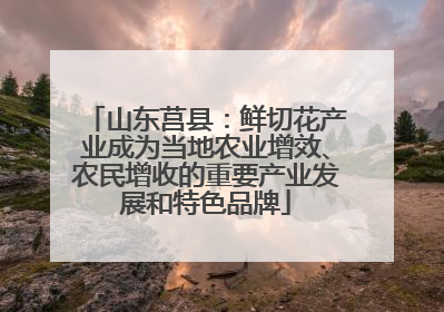 山东莒县：鲜切花产业成为当地农业增效、农民增收的重要产业发展和特色品牌