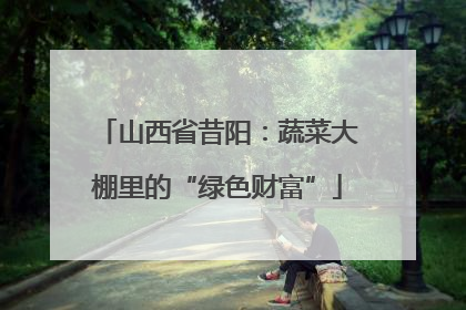 山西省昔阳：蔬菜大棚里的“绿色财富”