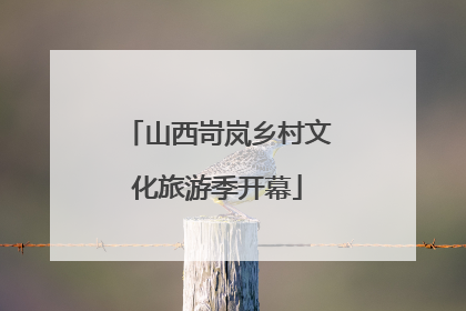 山西岢岚乡村文化旅游季开幕