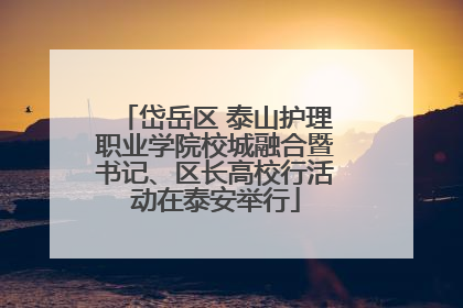 岱岳区 泰山护理职业学院校城融合暨书记、区长高校行活动在泰安举行