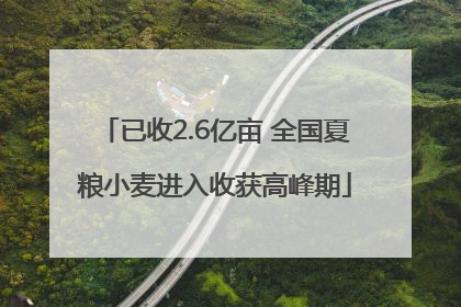 已收2.6亿亩 全国夏粮小麦进入收获高峰期