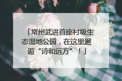 常州武进首座村级生态湿地公园，在这里邂逅“诗和远方”！
