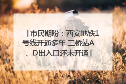 市民期盼：西安地铁1号线开通多年 三桥站A、D出入口还未开通