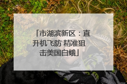 市湖滨新区：直升机飞防 精准狙击美国白蛾