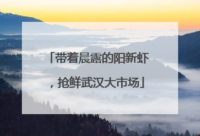带着晨露的阳新虾，抢鲜武汉大市场