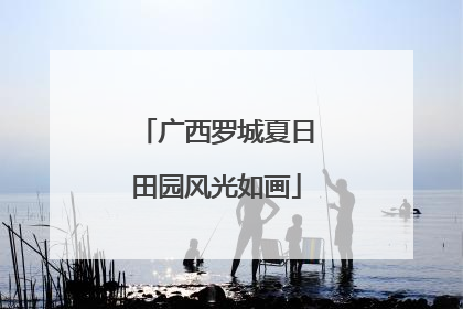 广西罗城夏日田园风光如画