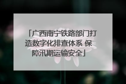 广西南宁铁路部门打造数字化排查体系 保障汛期运输安全