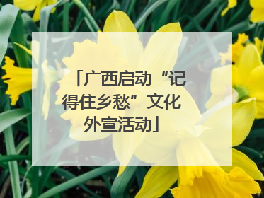 广西启动“记得住乡愁”文化外宣活动