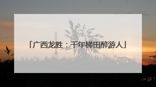 广西龙胜：千年梯田醉游人