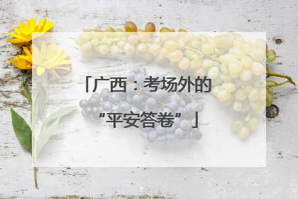 广西：考场外的“平安答卷”