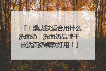 干燥皮肤适合用什么洗面奶，洗面奶品牌干皮洗面奶哪款好用！