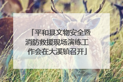 平和县文物安全暨消防救援现场演练工作会在大溪镇召开