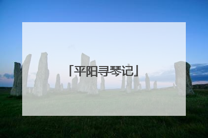 平阳寻琴记