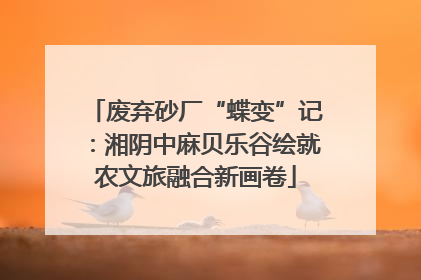 废弃砂厂“蝶变”记：湘阴中麻贝乐谷绘就农文旅融合新画卷