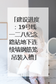 建设进度：19号线一二八纪念路站地下连续墙钢筋笼吊装入槽