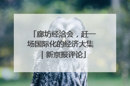 廊坊经洽会，赶一场国际化的经济大集｜新京报评论