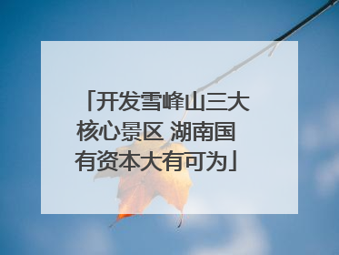 开发雪峰山三大核心景区 湖南国有资本大有可为