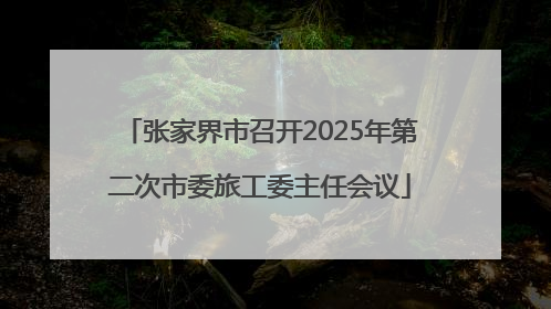 张家界市召开2025年第二次市委旅工委主任会议