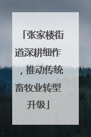 张家楼街道深耕细作，推动传统畜牧业转型升级