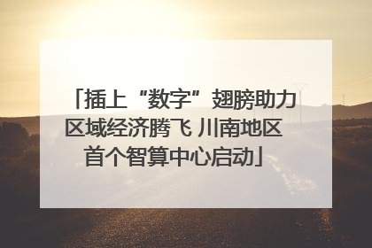 插上“数字”翅膀助力区域经济腾飞 川南地区首个智算中心启动