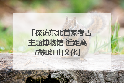 探访东北首家考古主题博物馆 近距离感知红山文化