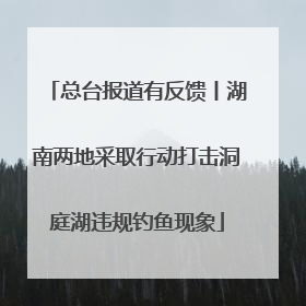 总台报道有反馈丨湖南两地采取行动打击洞庭湖违规钓鱼现象