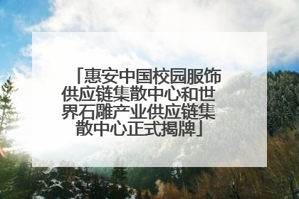 惠安中国校园服饰供应链集散中心和世界石雕产业供应链集散中心正式揭牌