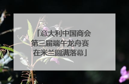 意大利中国商会第三届端午龙舟赛在米兰圆满落幕