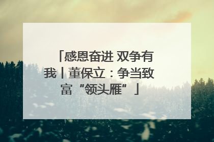 感恩奋进 双争有我丨董保立：争当致富“领头雁”