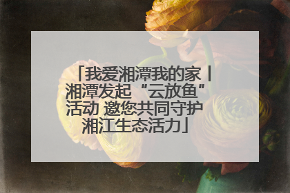 我爱湘潭我的家丨湘潭发起“云放鱼”活动 邀您共同守护湘江生态活力