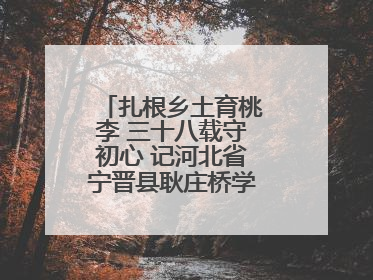 扎根乡土育桃李 三十八载守初心 记河北省宁晋县耿庄桥学区教师张志涛