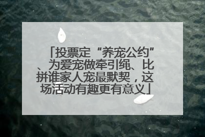 投票定“养宠公约”、为爱宠做牵引绳、比拼谁家人宠最默契，这场活动有趣更有意义