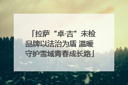 拉萨“卓·吉”未检品牌以法治为盾 温暖守护雪域青春成长路