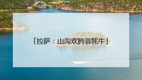 拉萨：山沟欢腾赛牦牛