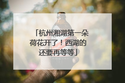杭州湘湖第一朵荷花开了！西湖的还要再等等