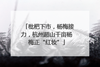 枇杷下市，杨梅接力，杭州超山千亩杨梅正“红妆”