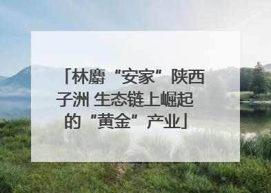 林麝“安家”陕西子洲 生态链上崛起的“黄金”产业