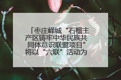 枣庄峄城“石榴主产区铸牢中华民族共同体意识联盟项目”将以“六联”活动为抓手深化品牌建设