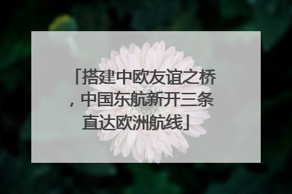 搭建中欧友谊之桥，中国东航新开三条直达欧洲航线