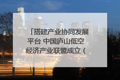 搭建产业协同发展平台 中国庐山低空经济产业联盟成立（组图｜视频）
