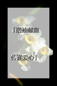 撸袖献血 传递爱心