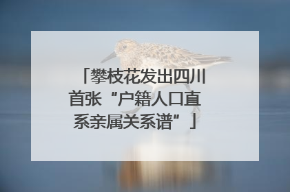攀枝花发出四川首张“户籍人口直系亲属关系谱”