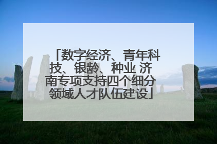 数字经济、青年科技、银龄、种业 济南专项支持四个细分领域人才队伍建设