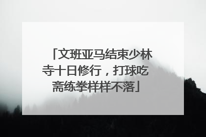 文班亚马结束少林寺十日修行，打球吃斋练拳样样不落