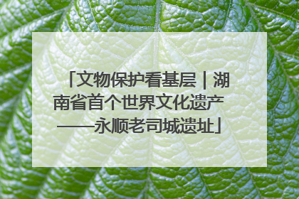 文物保护看基层｜湖南省首个世界文化遗产——永顺老司城遗址