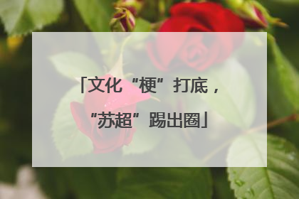 文化“梗”打底，“苏超”踢出圈