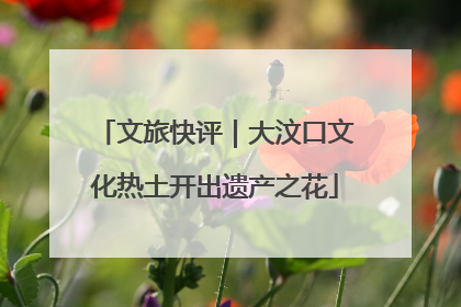 文旅快评｜大汶口文化热土开出遗产之花