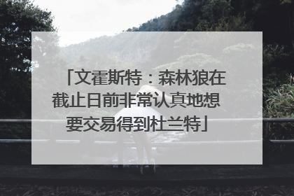 文霍斯特：森林狼在截止日前非常认真地想要交易得到杜兰特