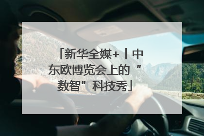 新华全媒+丨中东欧博览会上的“数智”科技秀