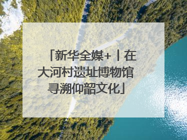 新华全媒+丨在大河村遗址博物馆寻溯仰韶文化